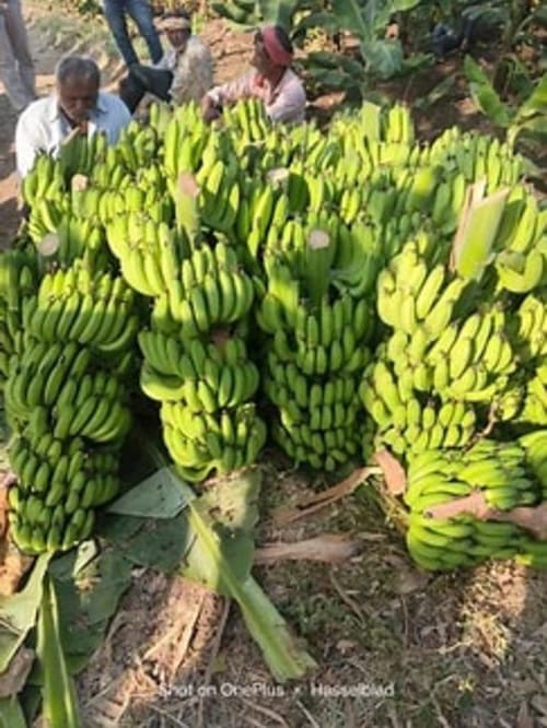 banana(matoke) 30kg
