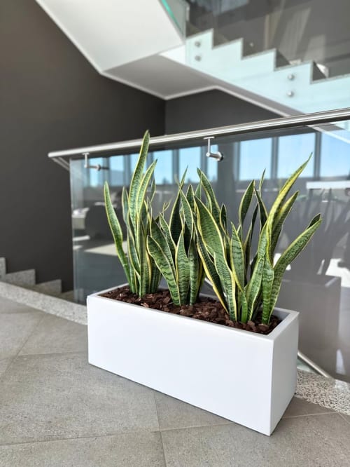 Long Rectangular vase