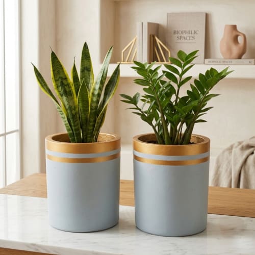 Round indoor vase