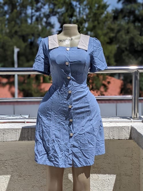 Contrast Collar Button Front Mini Dress