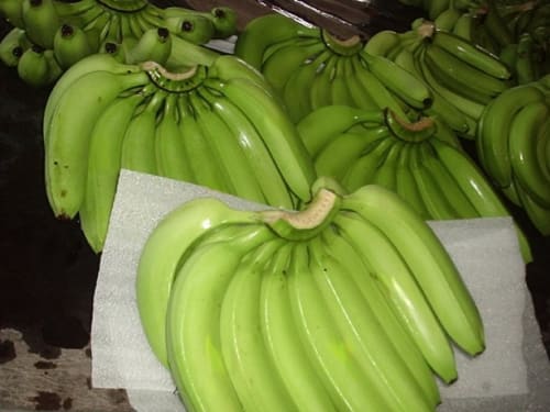 Fresh Plantains – Available in Kabuga & Kigali